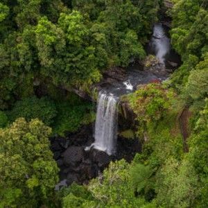 Meet your Posher, Gina